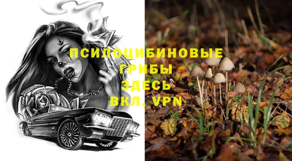 первитин Белоозёрский