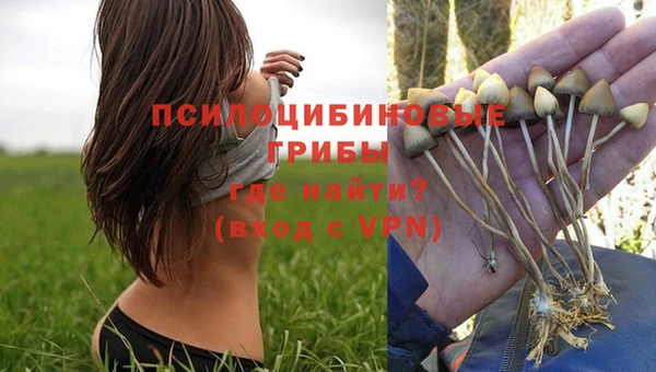 первитин Белоозёрский